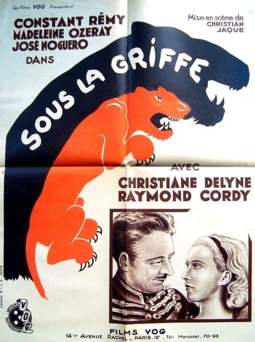 Director's Movie Image