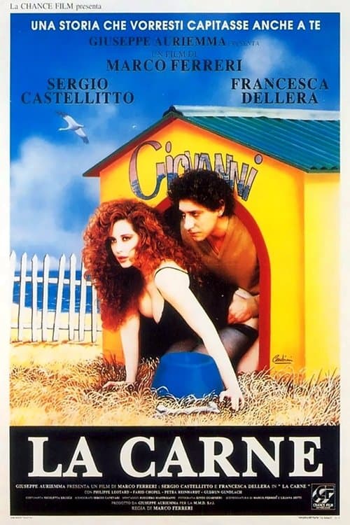 Director's Movie Image