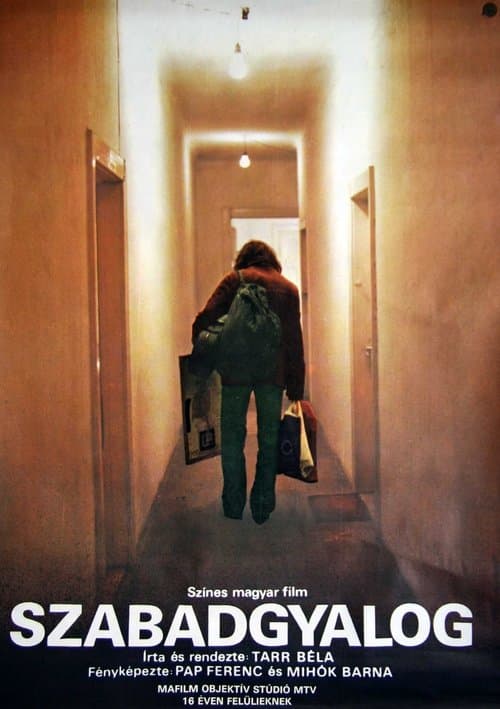 Director's Movie Image