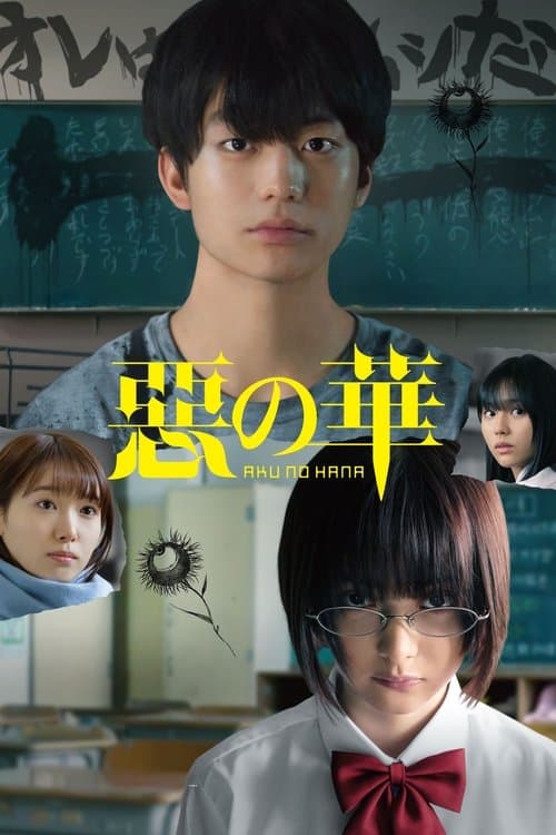 Director's Movie Image