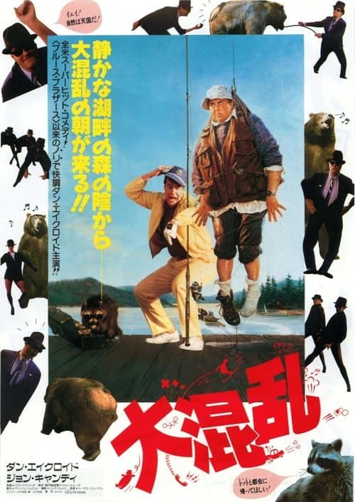 Director's Movie Image