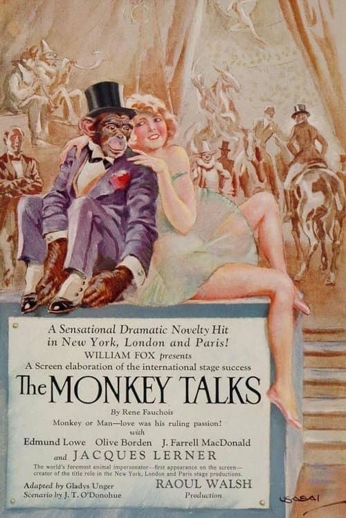 Director's Movie Image