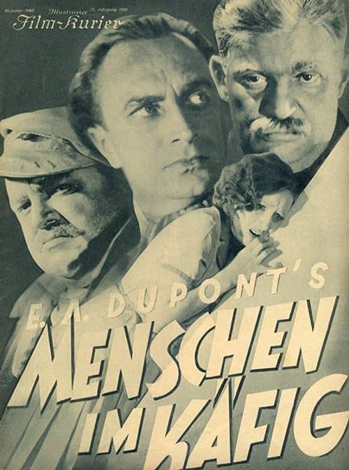 Director's Movie Image