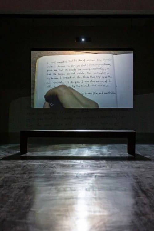 Director's Movie Image