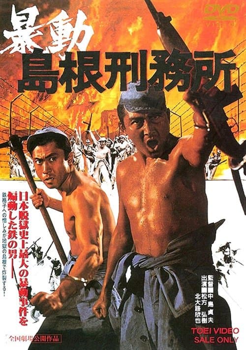Director's Movie Image