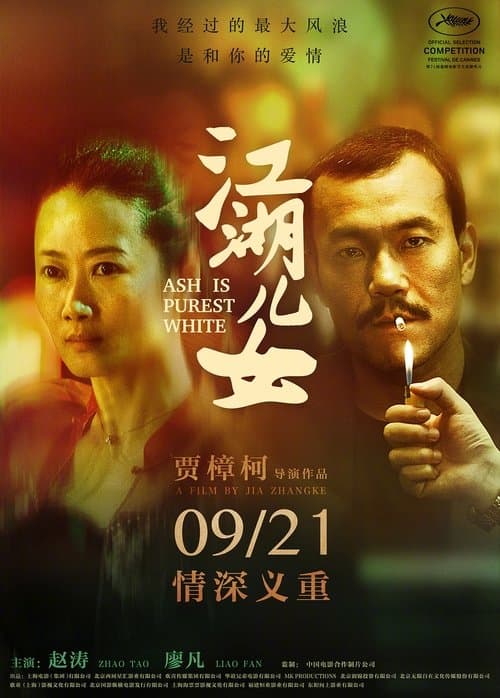 Director's Movie Image