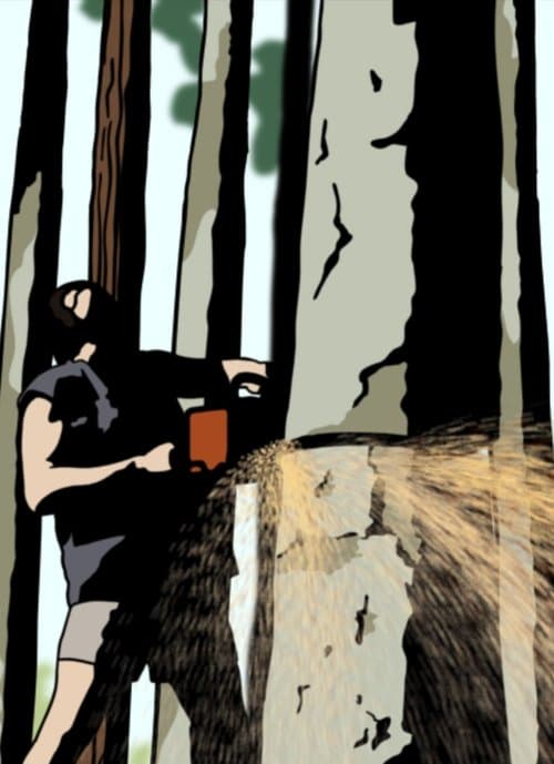 Director's Movie Image