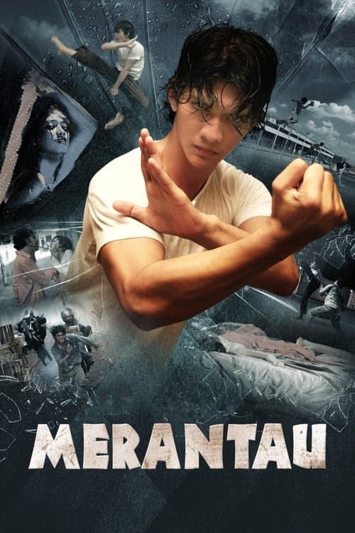 Director's Movie Image
