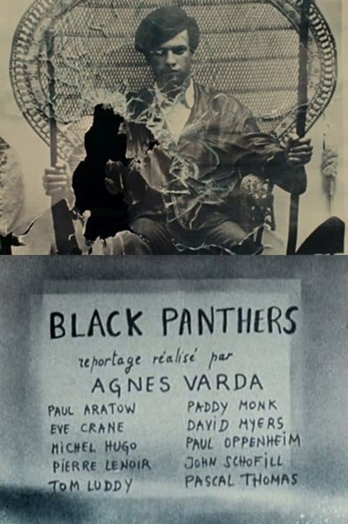 Director's Movie Image