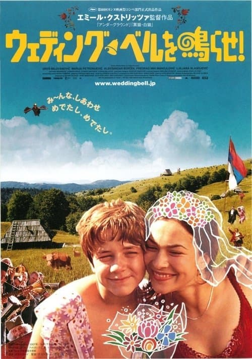 Director's Movie Image