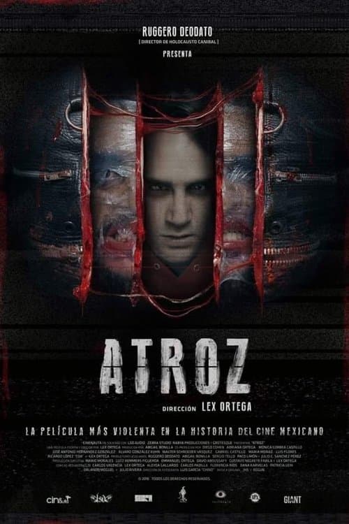 Director's Movie Image