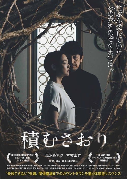 Director's Movie Image