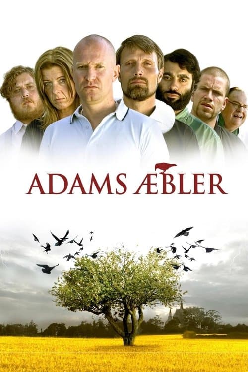 Director's Movie Image