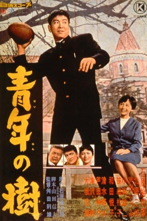 Director's Movie Image