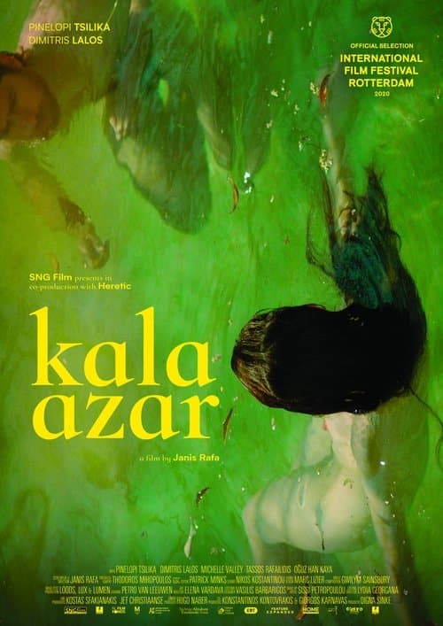 Director's Movie Image