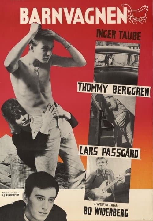 Director's Movie Image