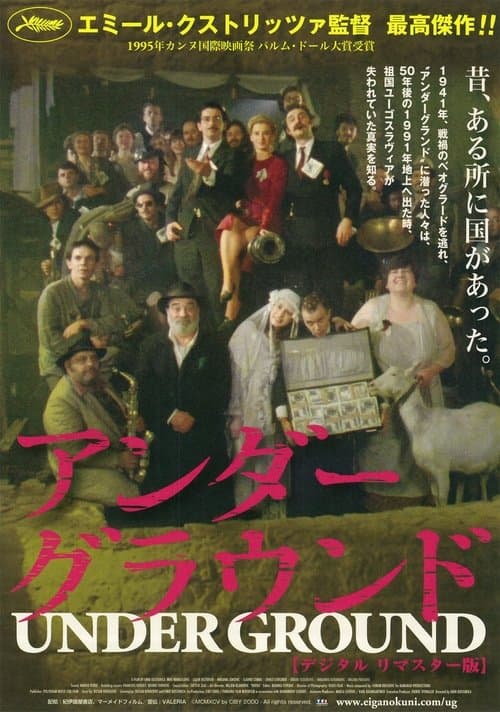 Director's Movie Image