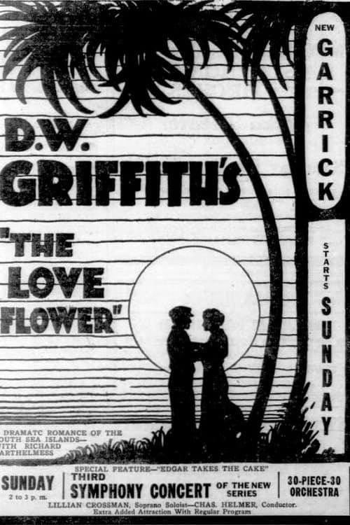 Director's Movie Image