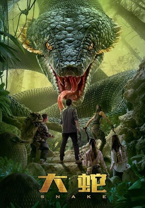 Director's Movie Image