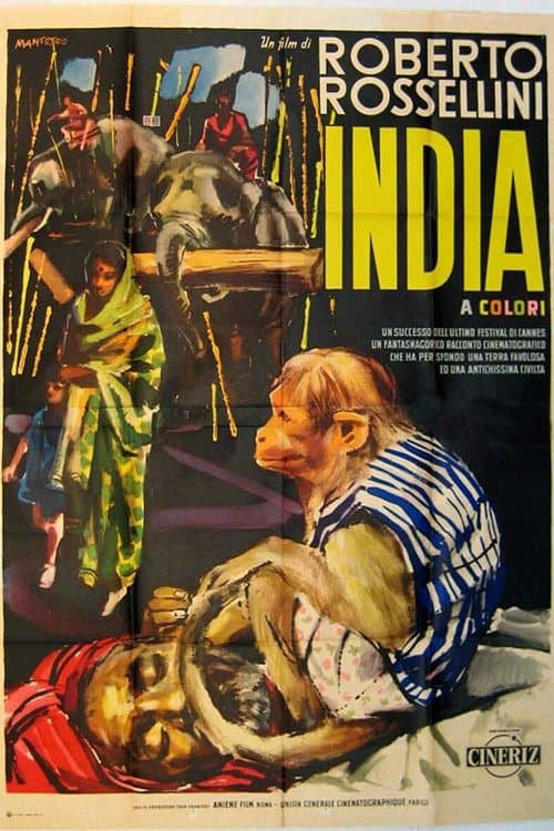 Director's Movie Image
