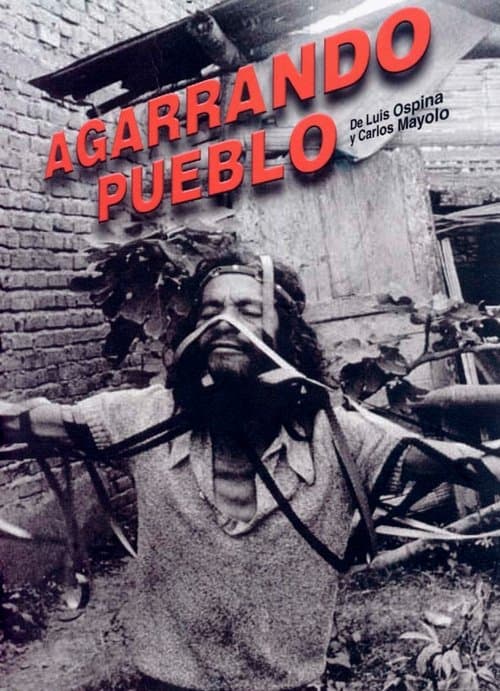 Director's Movie Image