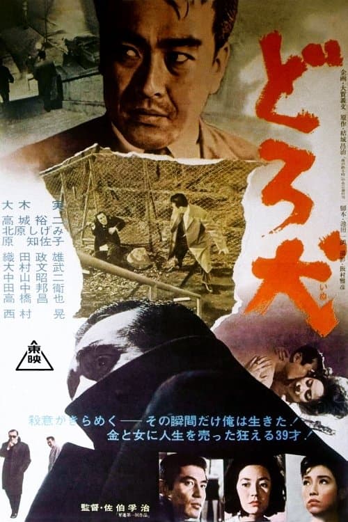 Director's Movie Image