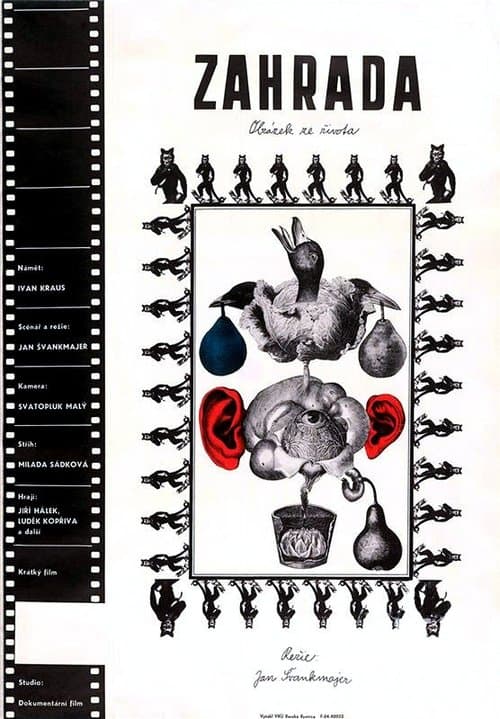 Director's Movie Image