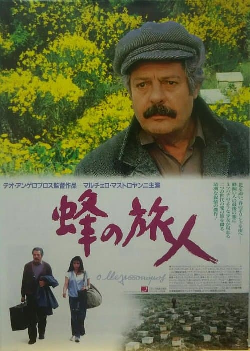 Director's Movie Image