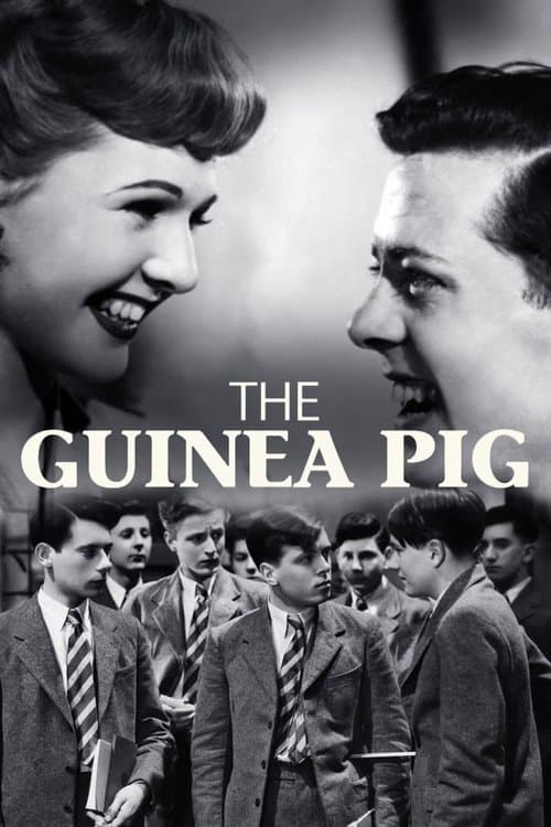 Director's Movie Image