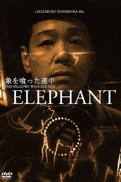 Director's Movie Image