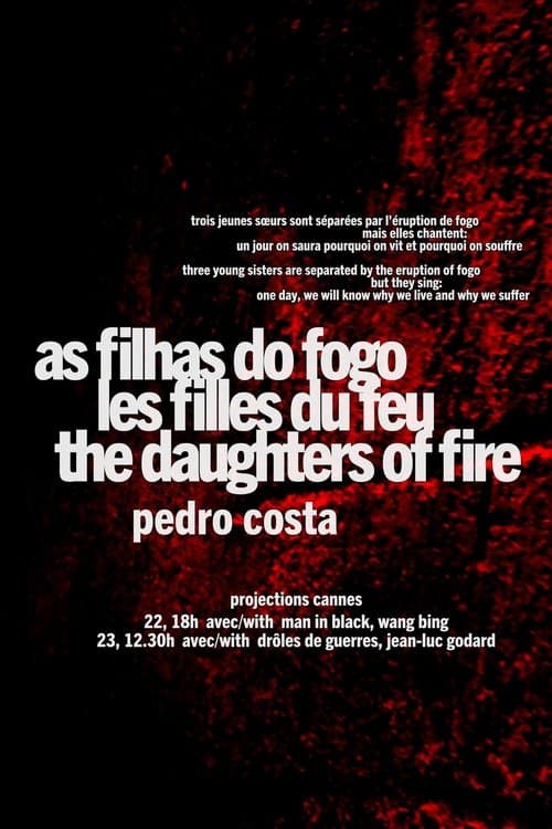 Director's Movie Image