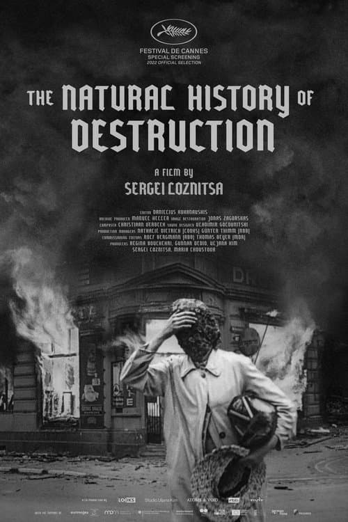 Director's Movie Image