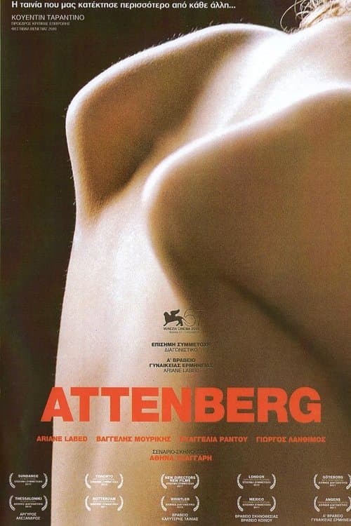 Director's Movie Image