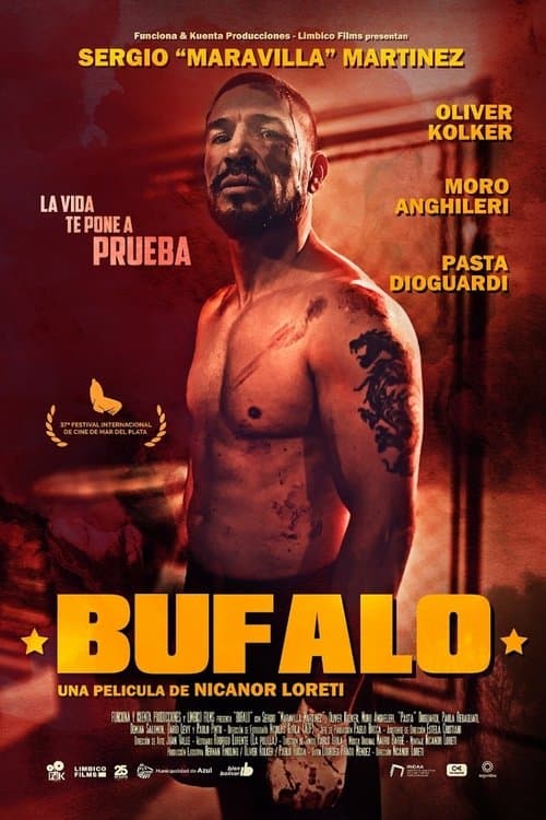 Director's Movie Image