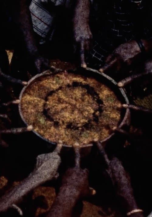 Director's Movie Image