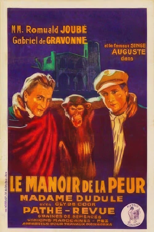 Director's Movie Image