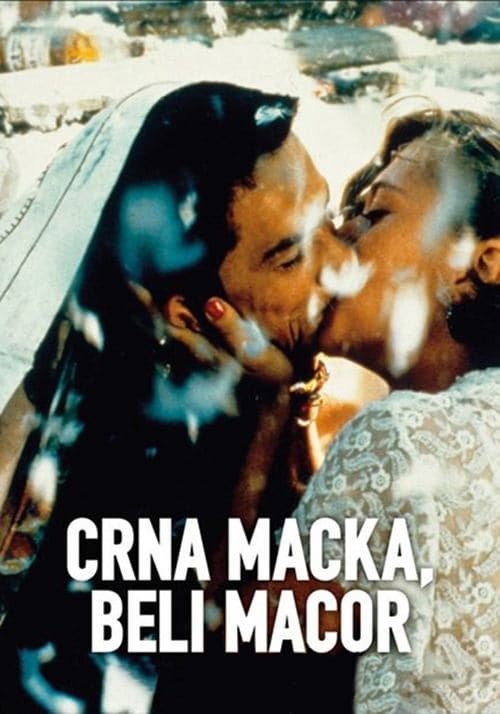 Director's Movie Image