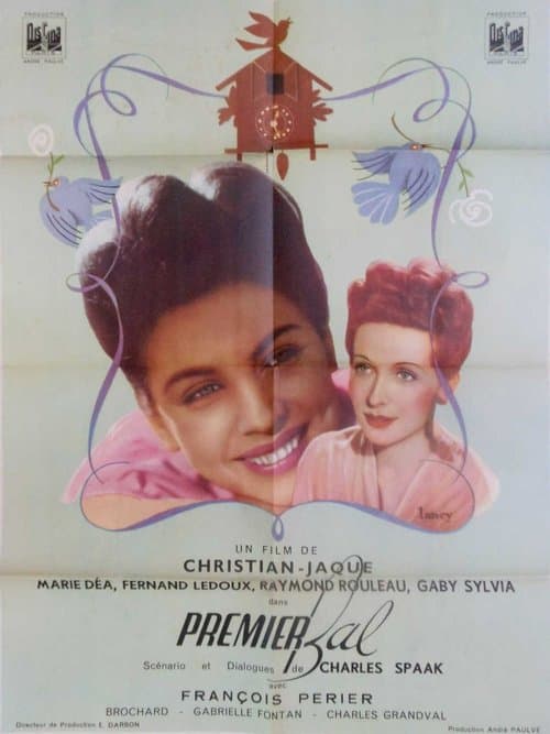 Director's Movie Image