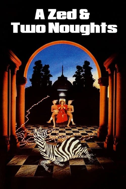 Director's Movie Image
