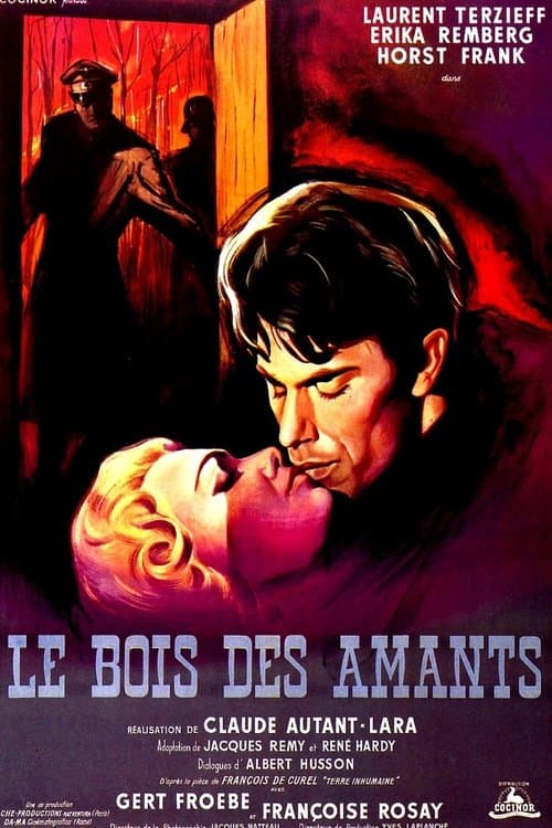 Director's Movie Image