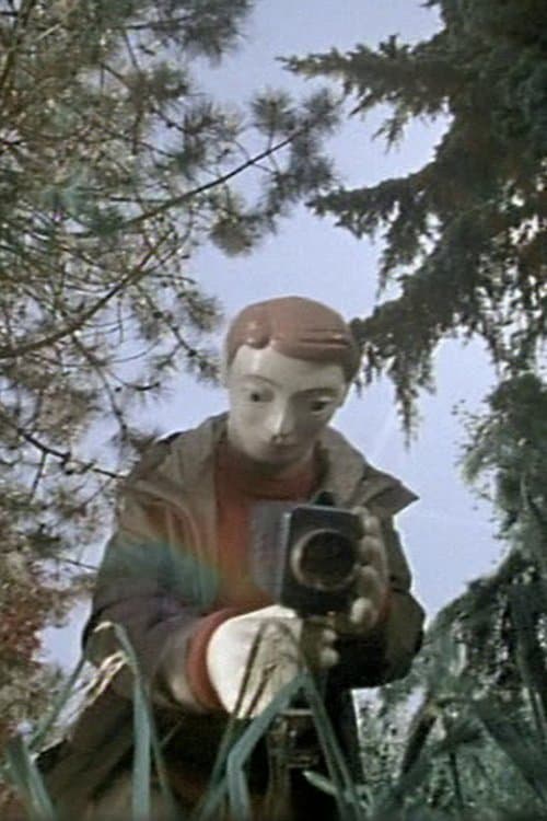 Director's Movie Image