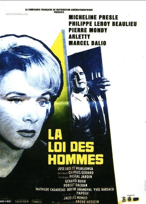 Director's Movie Image