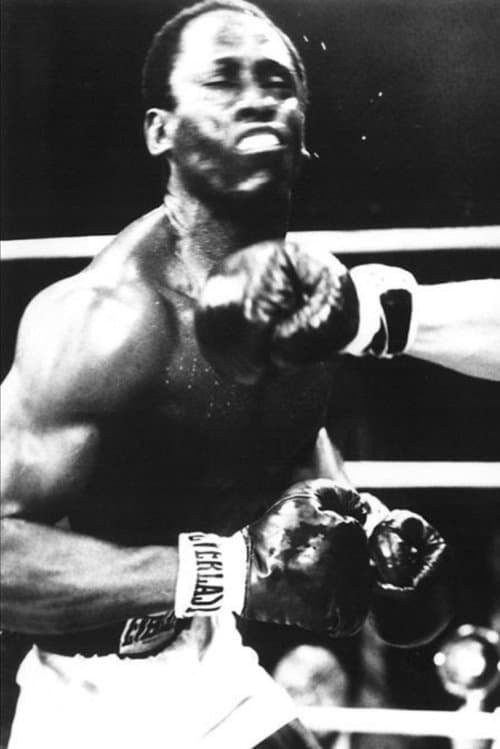 Cast's Movie Image