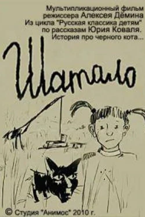 Director's Movie Image