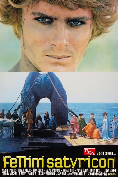 Director's Movie Image