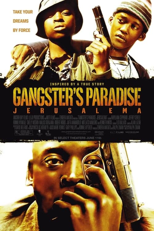 Director's Movie Image