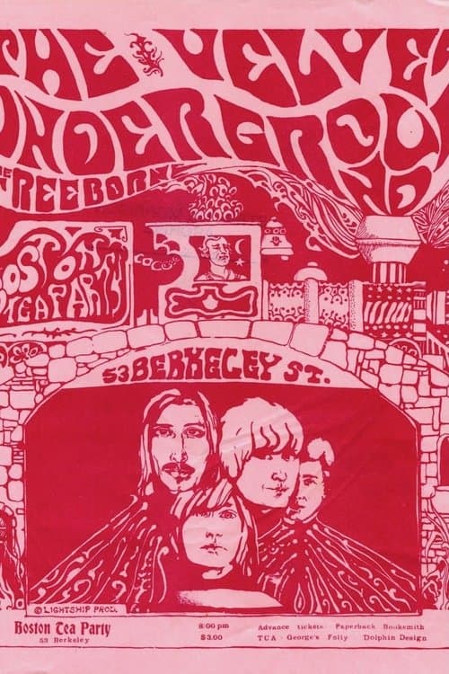 Director's Movie Image