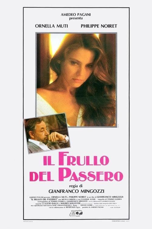 Director's Movie Image