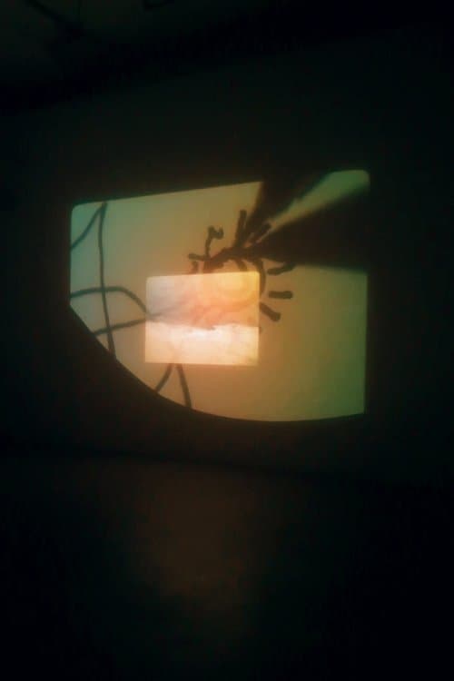 Director's Movie Image