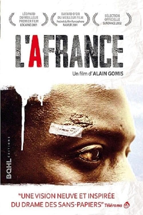 Director's Movie Image